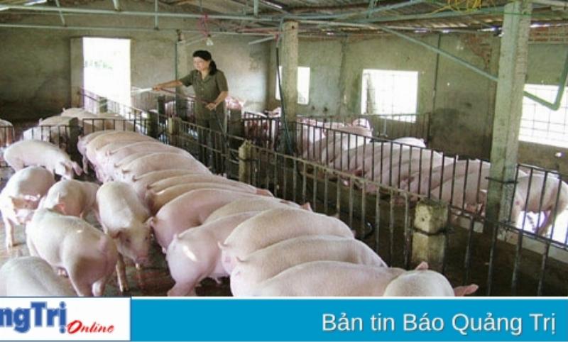 Hình ảnh minh họa một số mô hình công nghệ xử lý nước thải sinh hoạt quy mô lớn